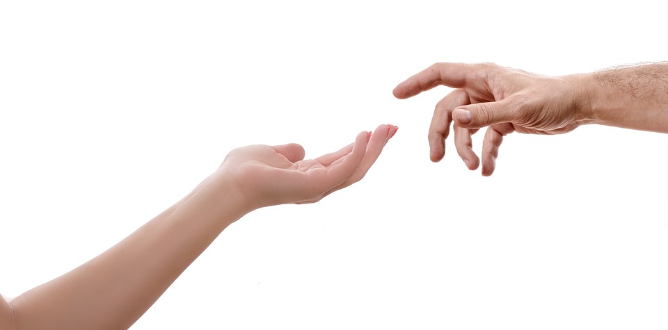 Increased support for the diaspora by non-profit organizations